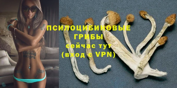 синтетический гашиш Арсеньев