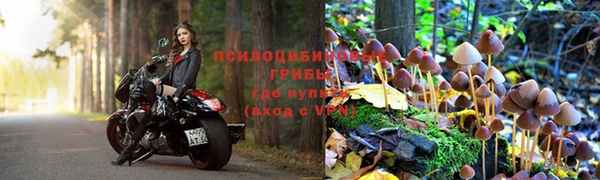 ПСИЛОЦИБИНОВЫЕ ГРИБЫ Алзамай