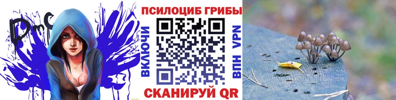 Галлюциногенные грибы мицелий  где купить наркоту  Ростов 