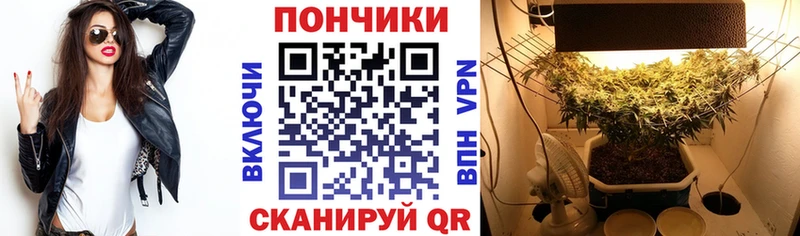 купить закладку  Ростов  Бошки марихуана MAZAR 